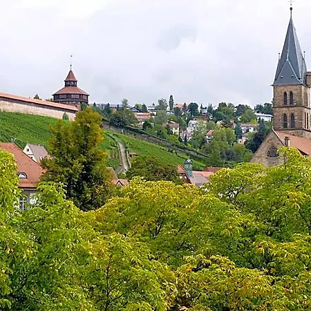 Am Schelztor Hotel 3*