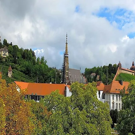 Hotel Am Schelztor